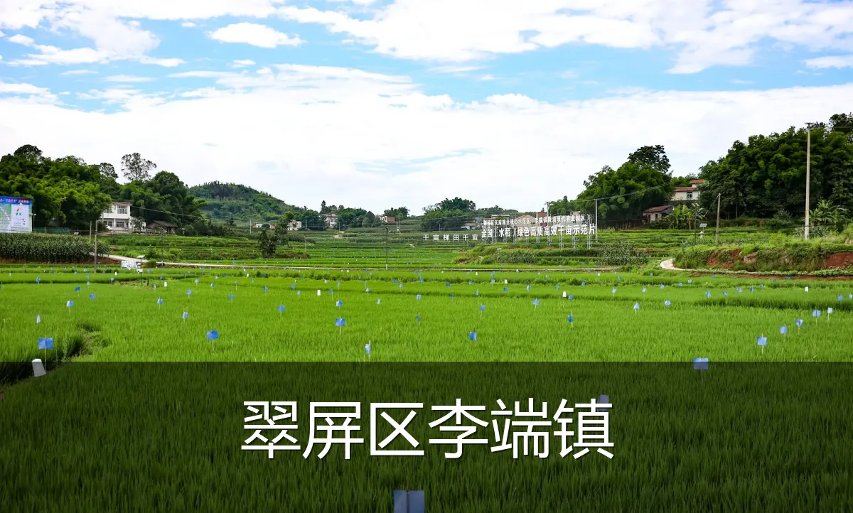 翠屏区李端镇