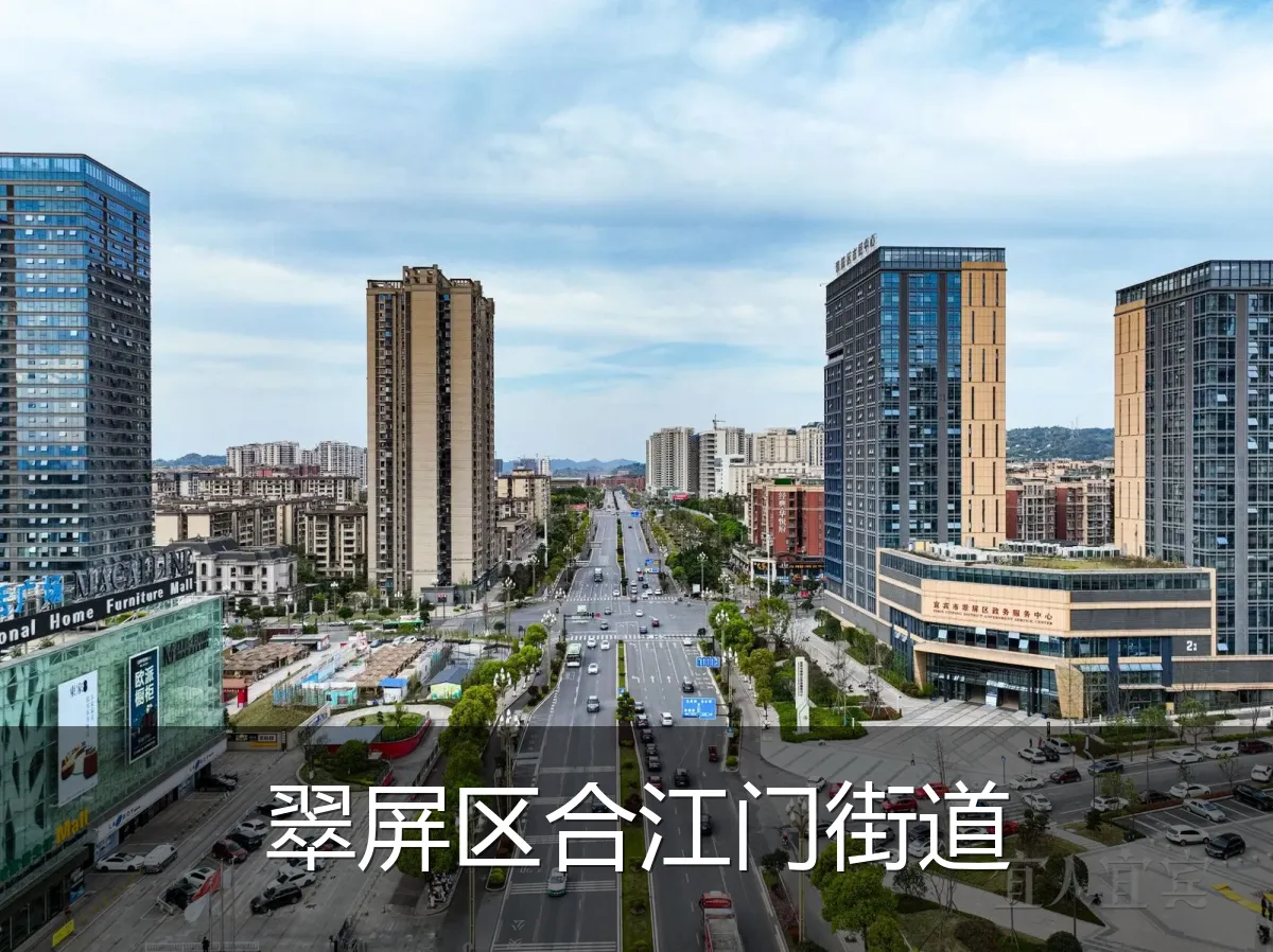 翠屏区合江门街道