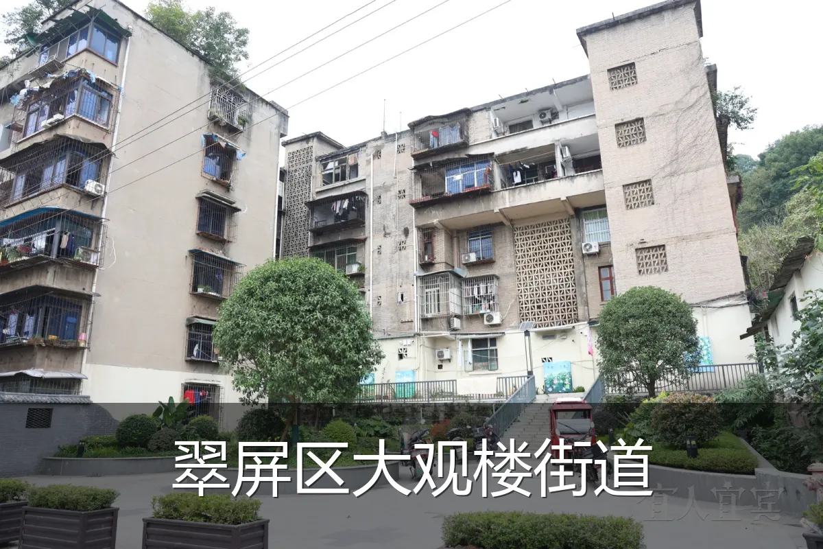 翠屏区大观楼街道