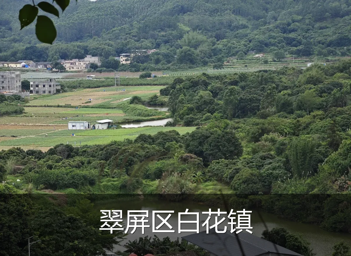 翠屏区白花镇
